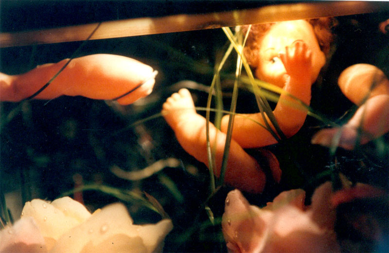 l'aquarium